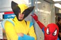 wolverine and spiderman, together at last